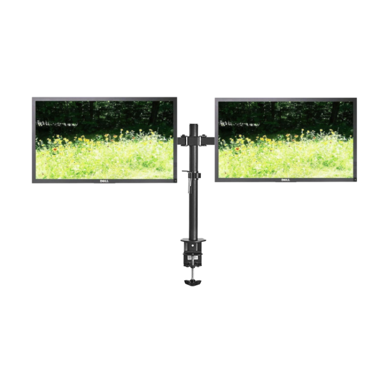 Dell Monitor