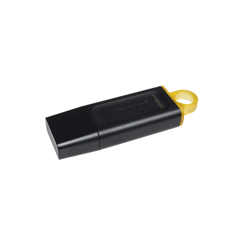 Kingston Technology DataTraveler 2