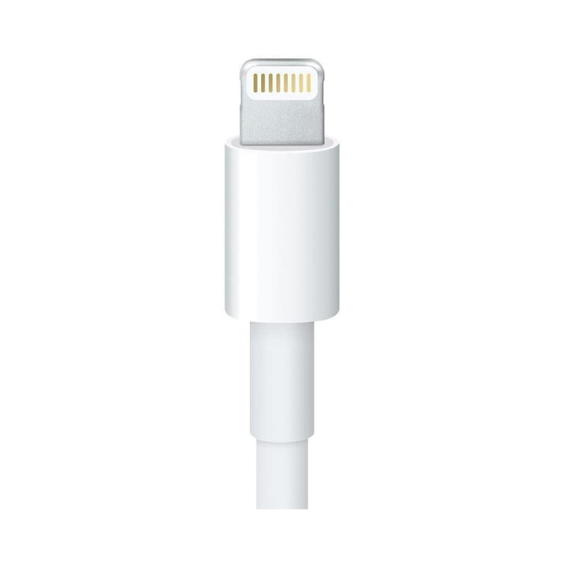 LIGHTNING CABLE 1