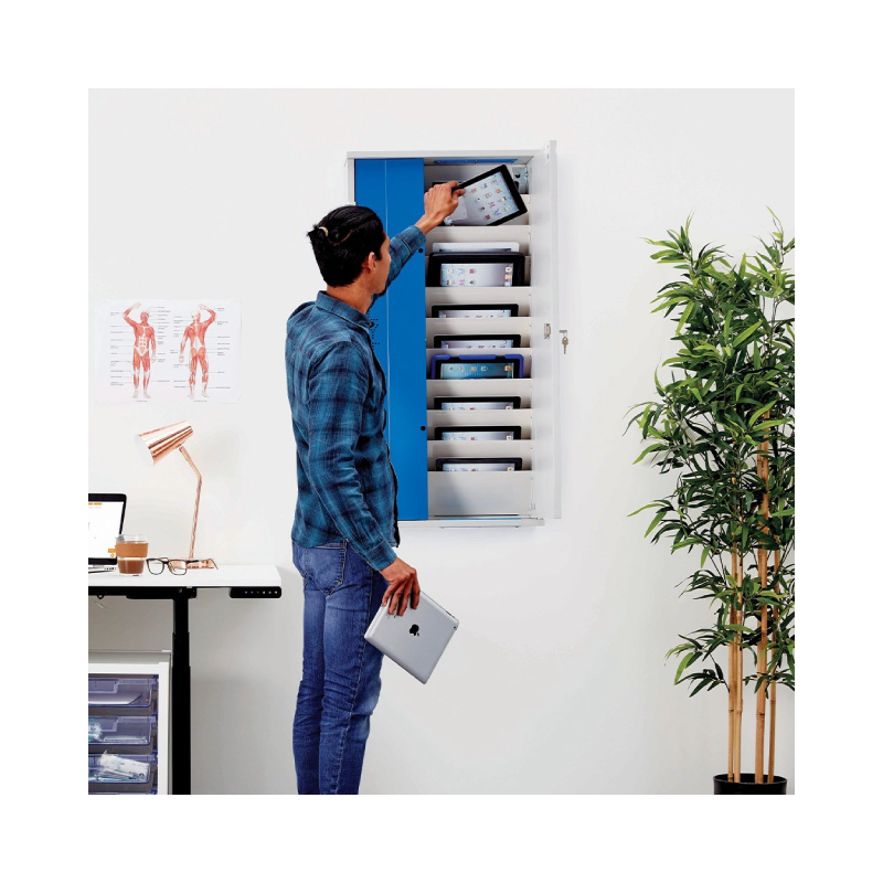 LapCabby Lyte Wall on the Wall Open 22