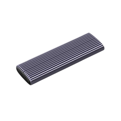 Netac WH51 M.2 PCIe SATA SSD Caddy 1