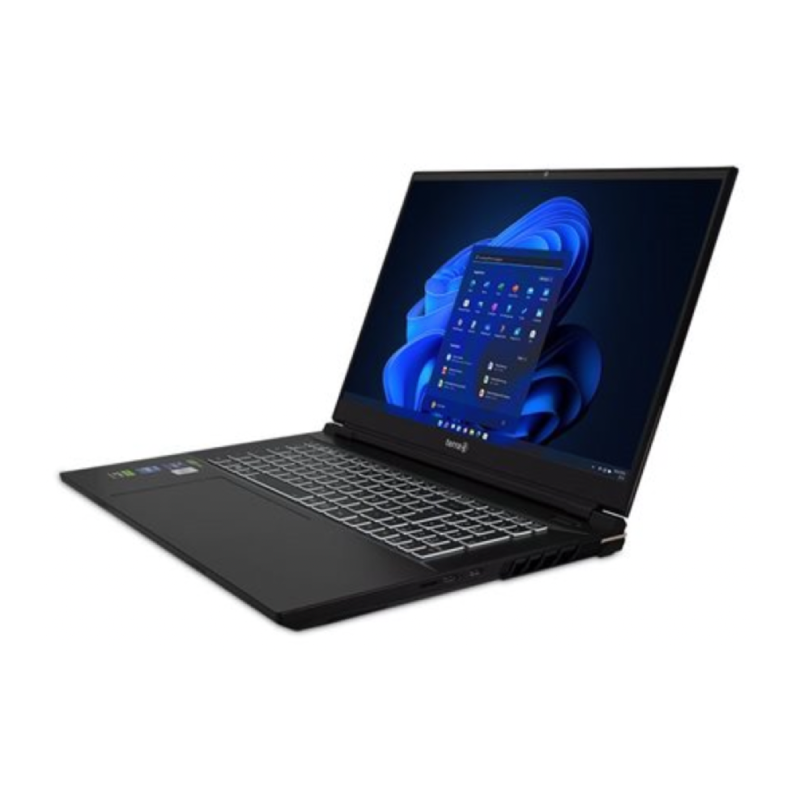 TERRA Laptop Gamer Elite 1