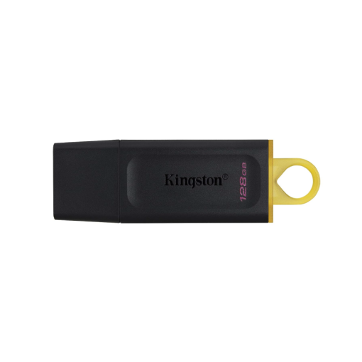 Kingston Technology DataTraveler